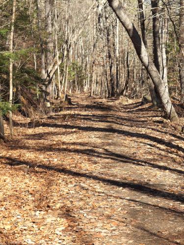 xxx on the New Boston Rail Trail near New Boston in southern New Hampshire