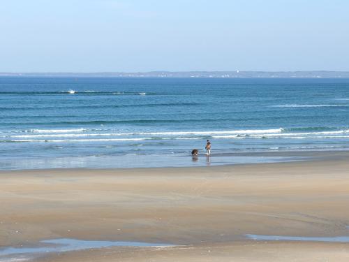 beach in March at Plum Island near Newburyport in eastern Massachusetts