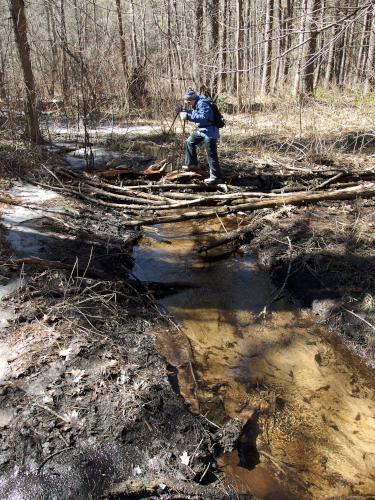 Andee crosses a bridgeless stream in March near Nissitissit Meadows in Pepperell, MA