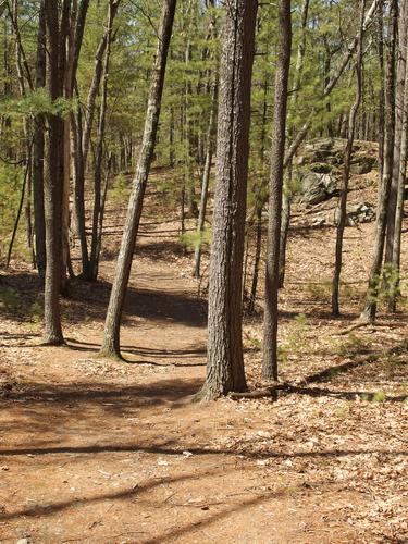 trail to Nobscot Hill in eastern Massachusetts