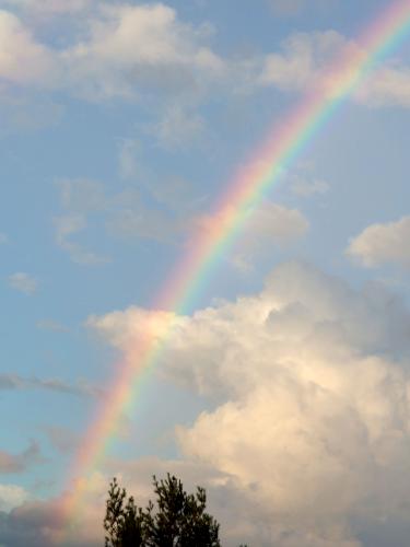 rainbow in July as seen from Oak Hill near Concord in New Hampshire