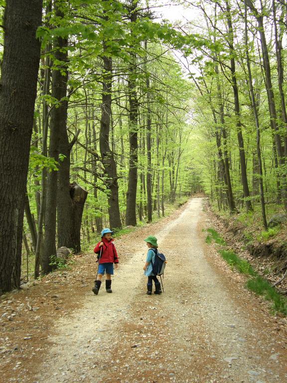 Carl and Talia in May on the trail to Oak Hill near Concord in New Hampshire