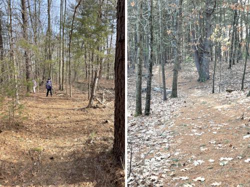 trails in February at O'Brien Farm near Westford in northeast MA