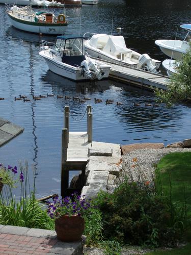 view of Perkings Cove in Maine