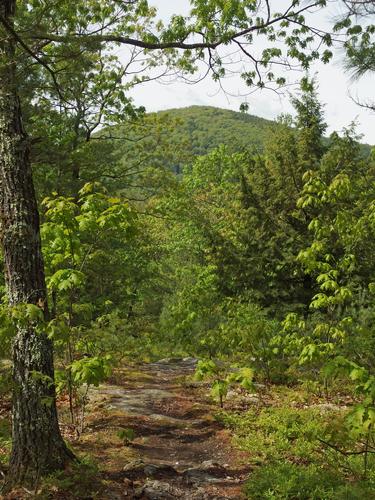 nameless trail at Orchard Highlands in southern New Hampshire