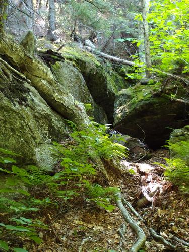 Elwell Trail to Oregon Mountain in New Hampshire