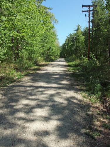 trail at Oyster River Forest in southeastern New Hampshire