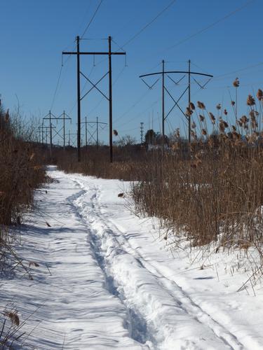 trail at Simond's Brook Conservation Area at Lexington in Massachusetts