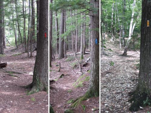 trails at Paradise Point Wildlife Sanctuary in New Hampshire