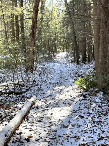 trail in December at Pond Parish east in southern NH