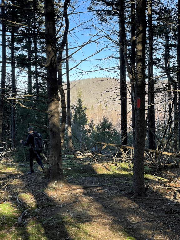 trail in December at Partridge Woods in southern New Hampshire