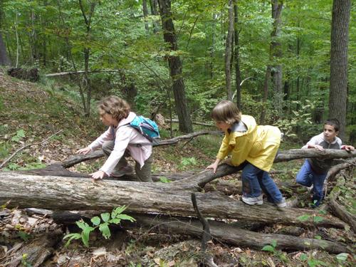 hikers going up through the woods to Pawtuckaway Middle Mountain in New Hampshire