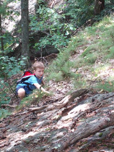 hiker bushwhacking up to Pawtuckaway North Mountain in New Hampshire