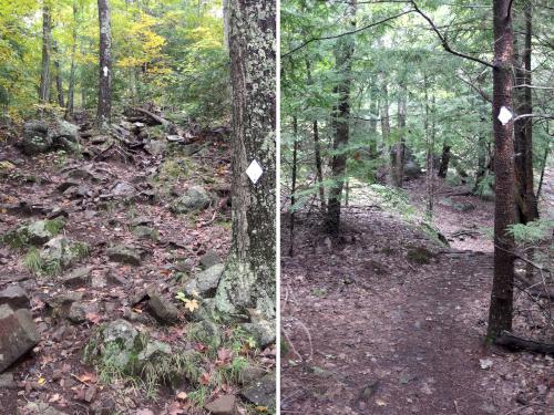 trail to Pawtuckaway North Mountain in New Hampshire