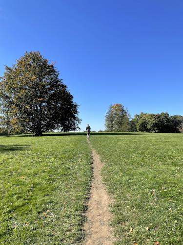 uphill trail in October at Pegan Hill in eastern Massachusetts