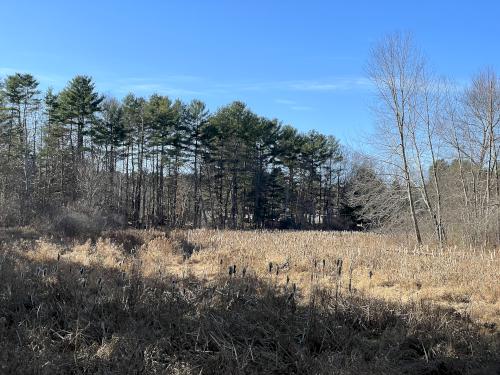 marsh in November at Pelham Schools Natural Area in southern NH