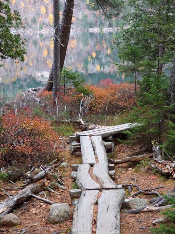 boardwalk in November beside Jordon Pond near Penobscot Mountain in Acadia Park, ME