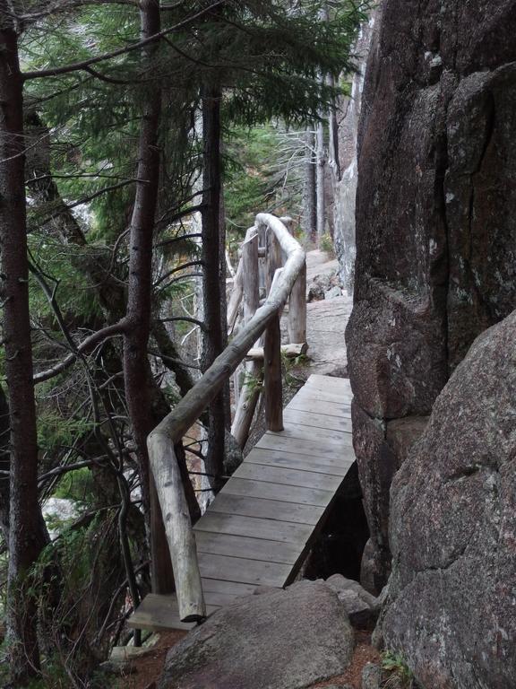 navigating between cliff face and precipice on the way to Penobscot Mountain in Acadia Park, ME