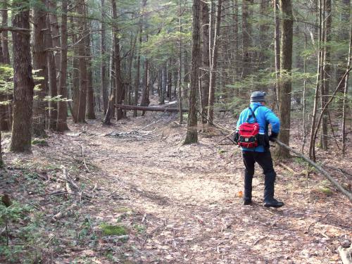 trail in December at Perry Reservation near Rindge in southern NH