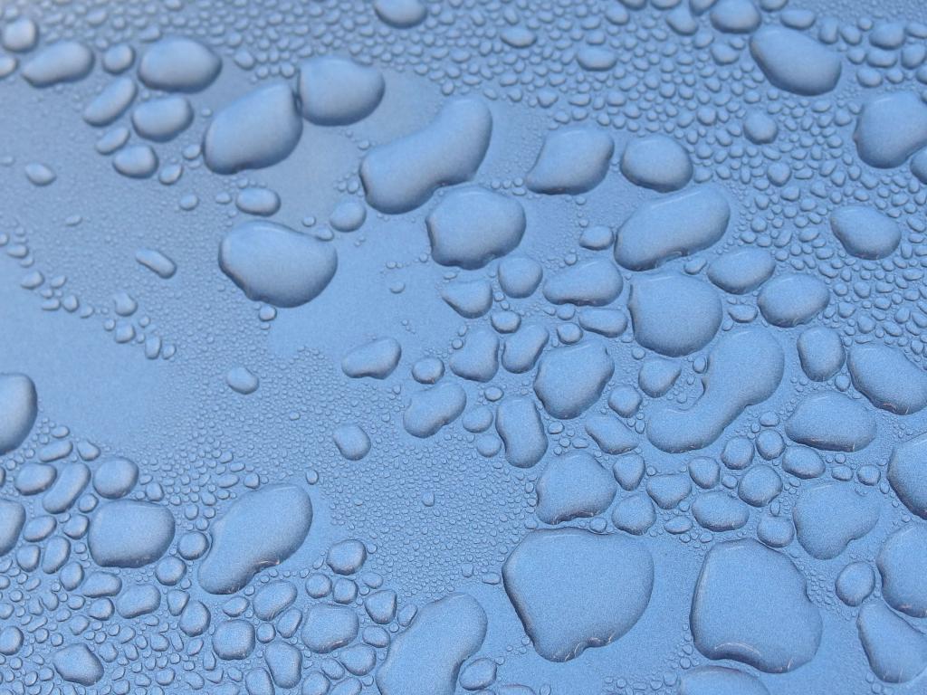 raindrop pattern on a car hood at Phillips Nature Preserve in northeastern Massachusetts