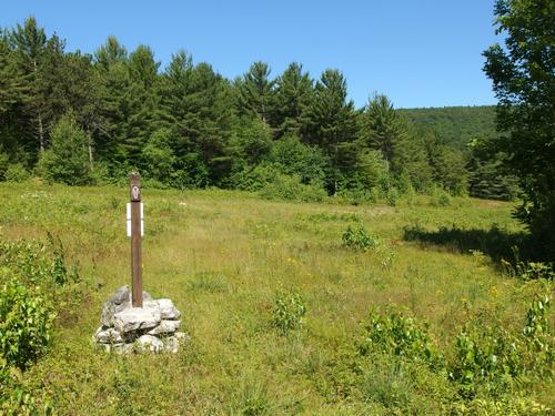 the Burrows Trail passing through a field on the way down from Phoebes Nable Mountain in New Hampshire