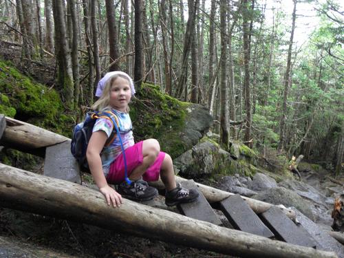 hiker descending a trail ladder on Mount Pierce in New Hampshire