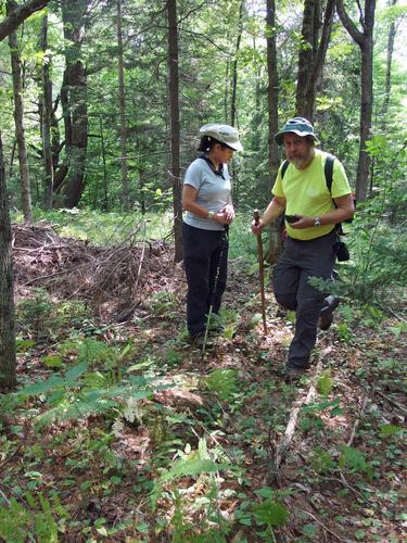 Elaine and John head into the woods on the way to the old fire tower hill at Pillsbury State Park in New Hampshire