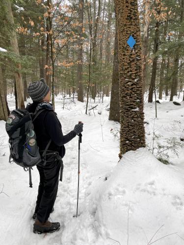 Dick on the blue trail in December at Pine Hill in New Hampshire