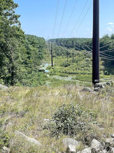 powerline swath in August at Pine Meadow Conservation Area in northeast MA