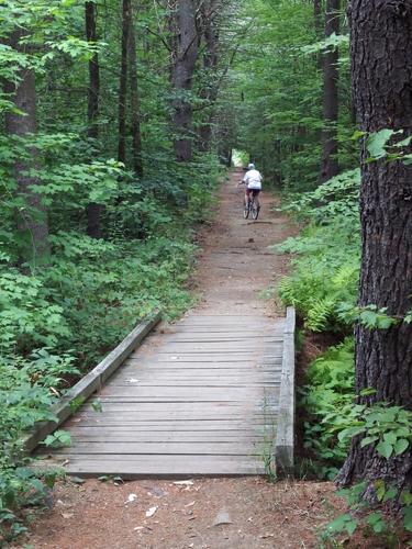 rustic section of the Piscataquog Trail in southern New Hampshire