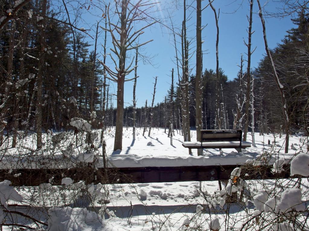 third foorbridge in February at Plaistow Town Forest in southern New Hampshire