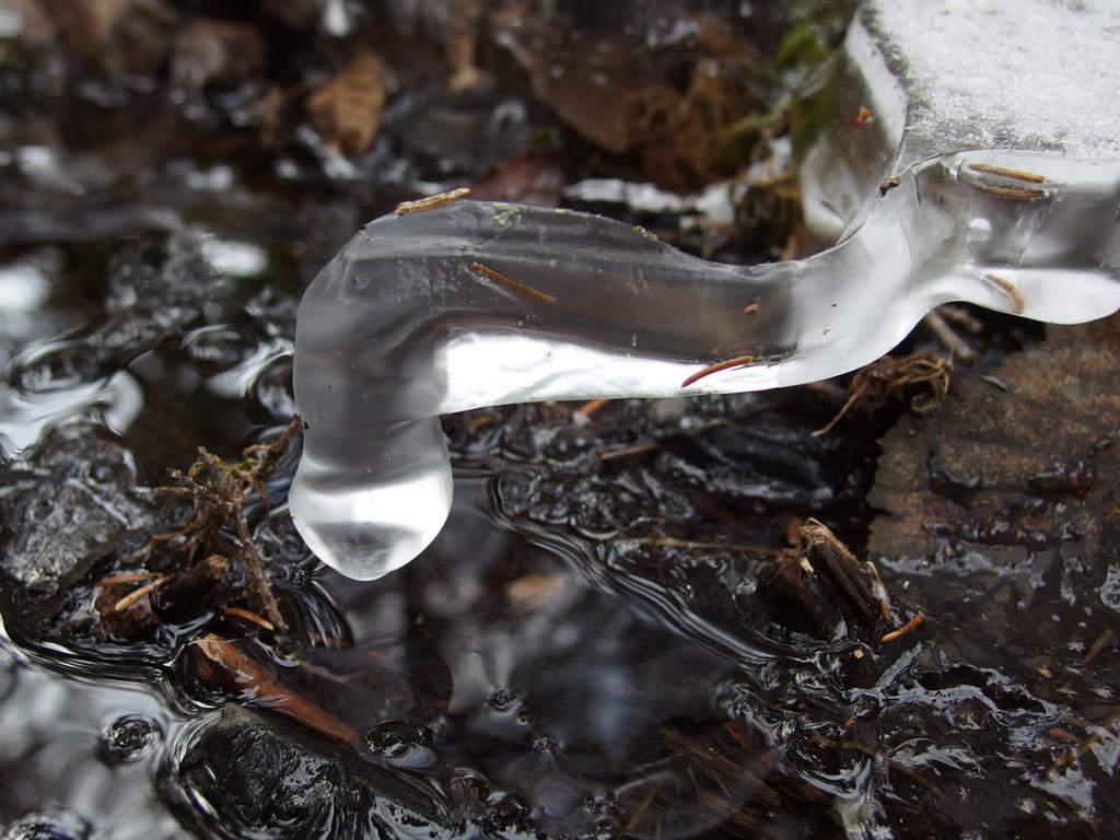 natural ice sculpture beside the trail to Plymouth Mountain in New Hampshire