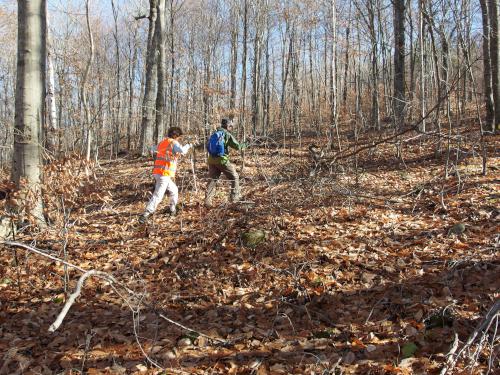 Larry and Cathy bushwhack to Plymouth West Mountain in western New Hampshire