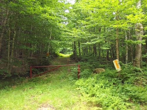 road gate on the way to Pollard Hill in New Hampshire