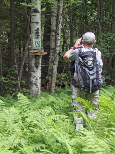 trail junction signs near Pollard Hill in New Hampshire