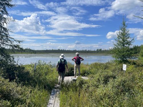 view in August from Little Cherry Pond at Pondicherry Wildlife Refuge in New Hampshire