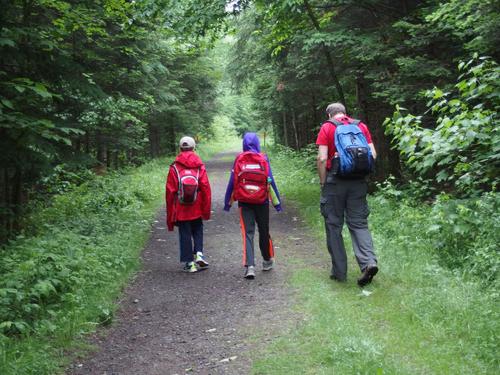 hikers on the way into Pondicherry Wildlife Refuge in northern New Hampshire