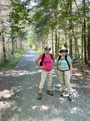 trail in August at Pondicherry Wildlife Refuge in New Hampshire