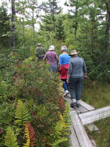 hikers at Ponemah Bog in southern New Hampshire