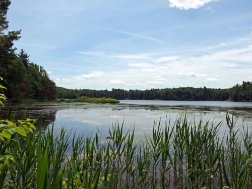 Asnebumskit Pond near Porcupine Hill in Paxton MA