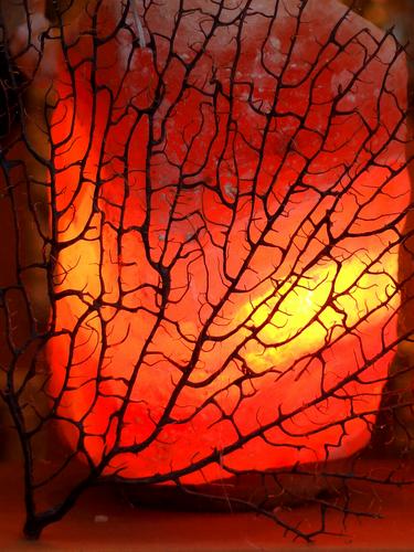 stone lamp in a Portsmouth shop window in New Hampshire