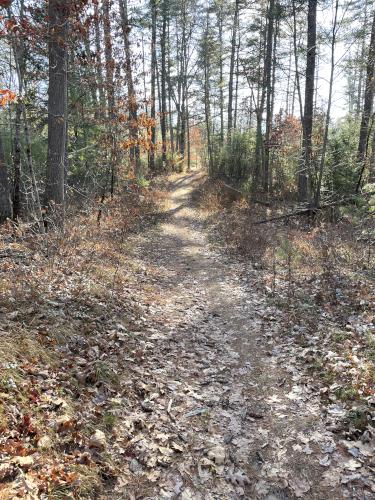 path in December at Lake Potanipo Trail near Brookline in southern NH