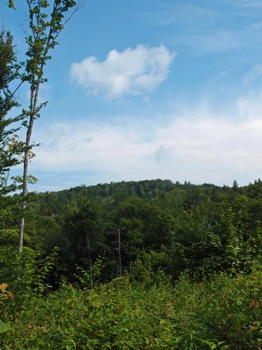 view of Abbot Hill on the ridge bushwhack from Priest Hill near Mount Lafayette in New Hampshire