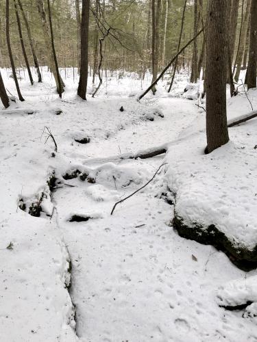 brook in February at Proctor Wildlife Sanctuary near Center Harbor in central New Hampshire