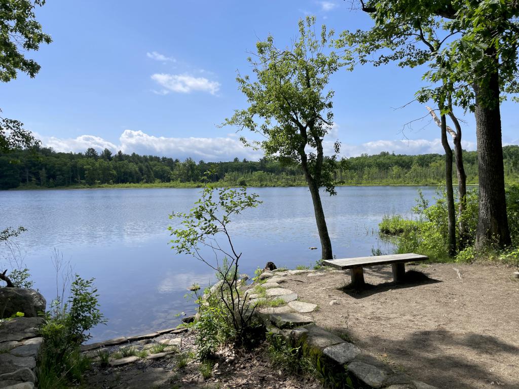 Long Pond in May at Prouty Woods in northeast MA