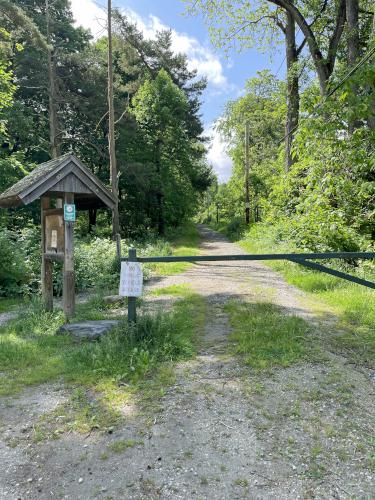 trail in May at Prouty Woods in northeast MA