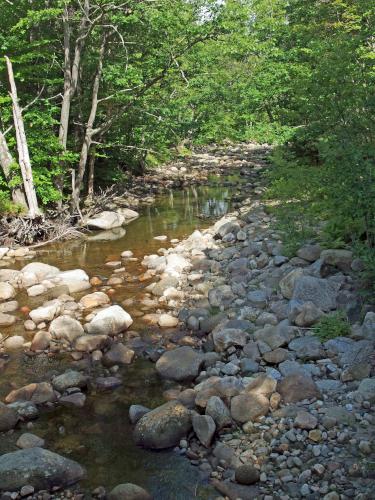 low river at Province Road Mountain in western New Hampshire