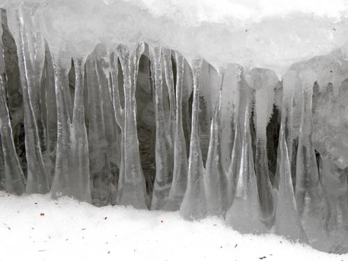 icicles along Purgatory Brook in New Hampshire