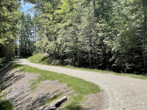 bike path in August at Quinapoxet River Area near Holden in eastern Massachusetts