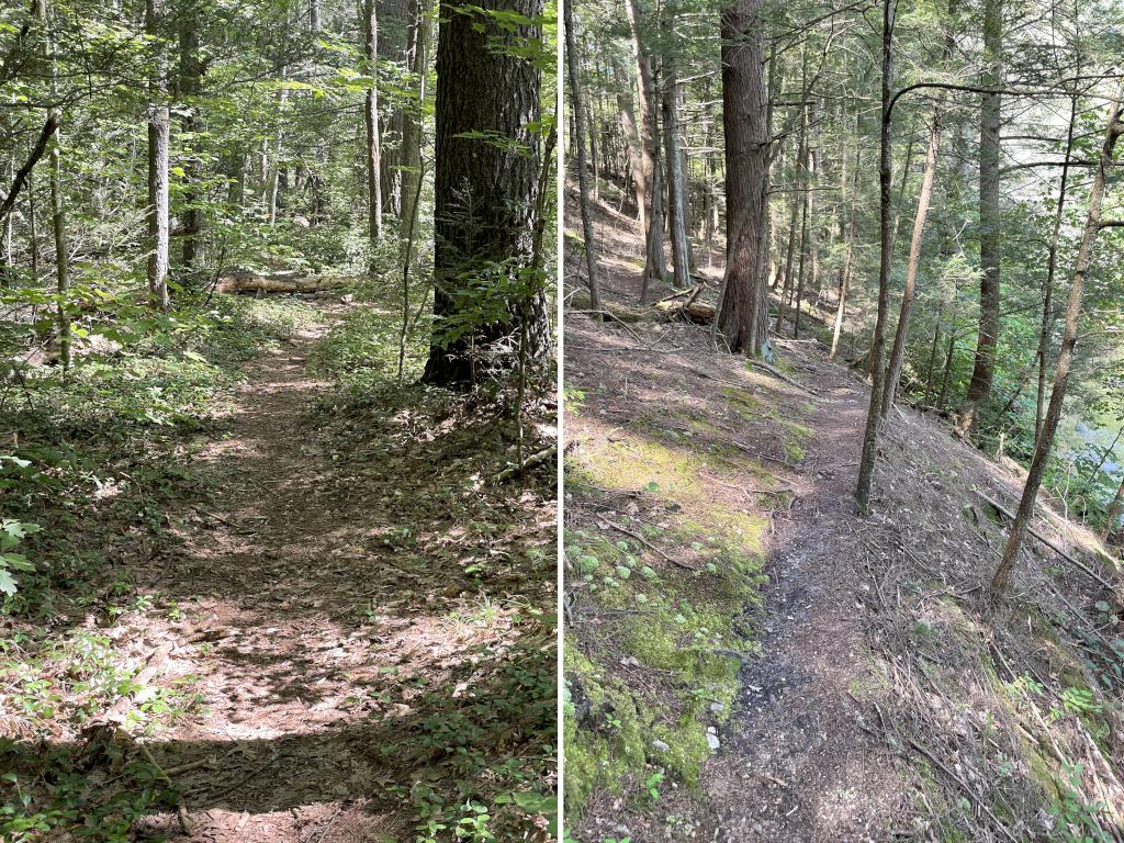 Path in August at Quinapoxet River Area near Holden in eastern Massachusetts